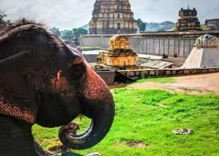 Jai Shivray