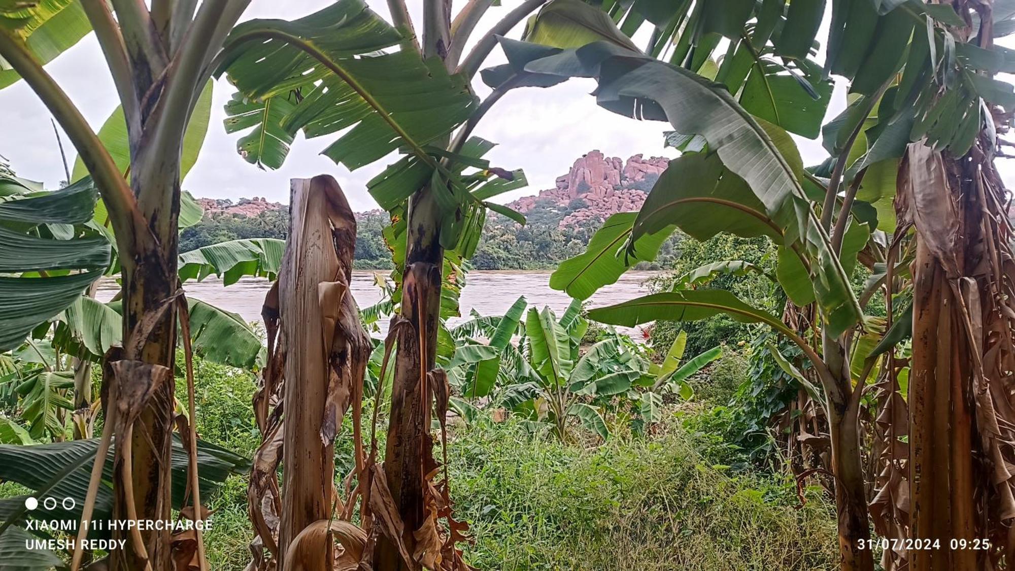 Homestay Jai Shivray