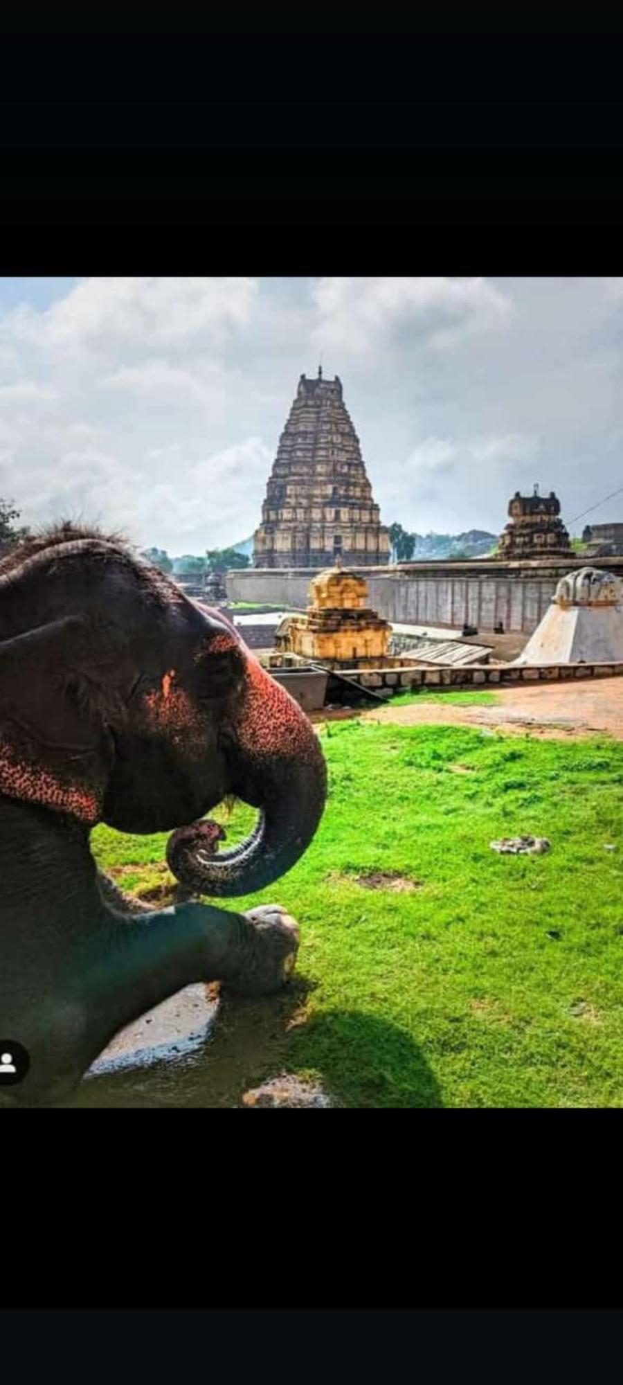 Jai Shivray Hampi